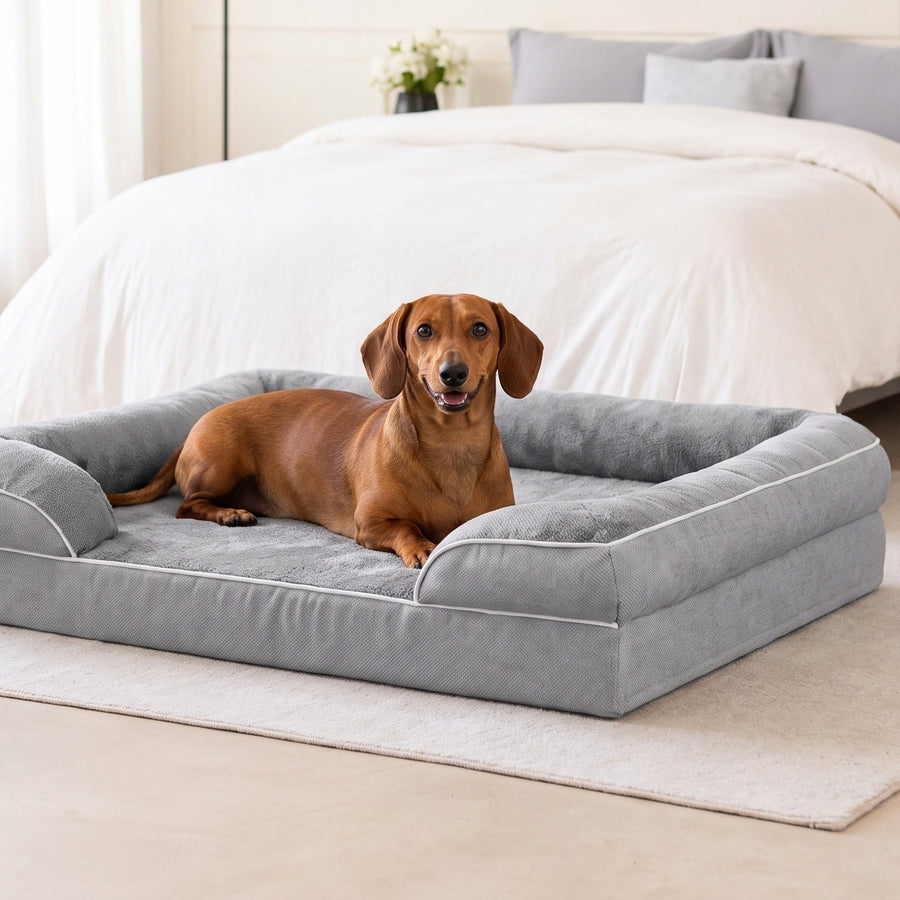 Red and tan Dachshund lying on a grey orthopedic dog sofa bed with bolster sides in a bright bedroom