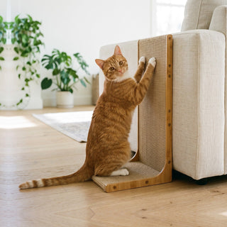 Ginger orange tabby cat standing upright scratching an L-shaped sisal cat scratcher against a cream sofa in a bright living room