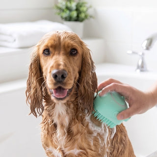Cocker Spaniel getting a bath with a teal silicone grooming brush in a white bathtub