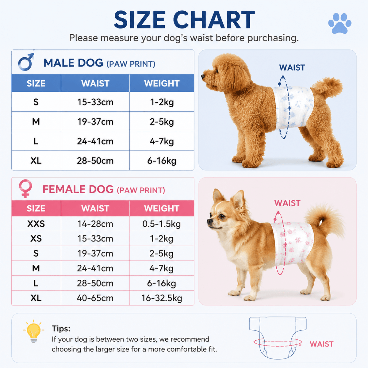 Disposable Dog Diapers for Male & Female Dogs & 10 Pack