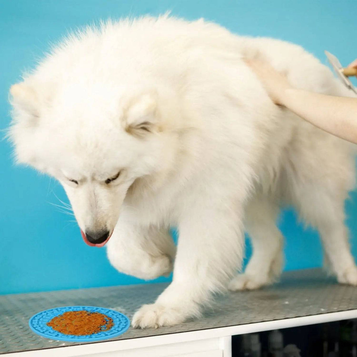 Two blue Noblias suction lick mats for dogs and cats, shown as a pair on a white background.