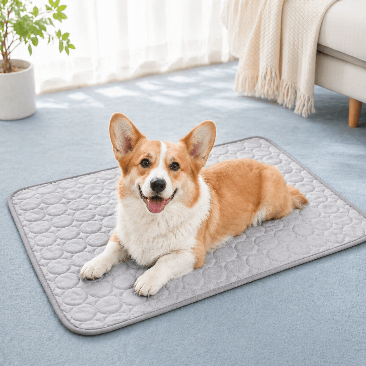 Blue Noblias cooling mat for dogs and cats, small size, designed to keep pets cool and comfortable.