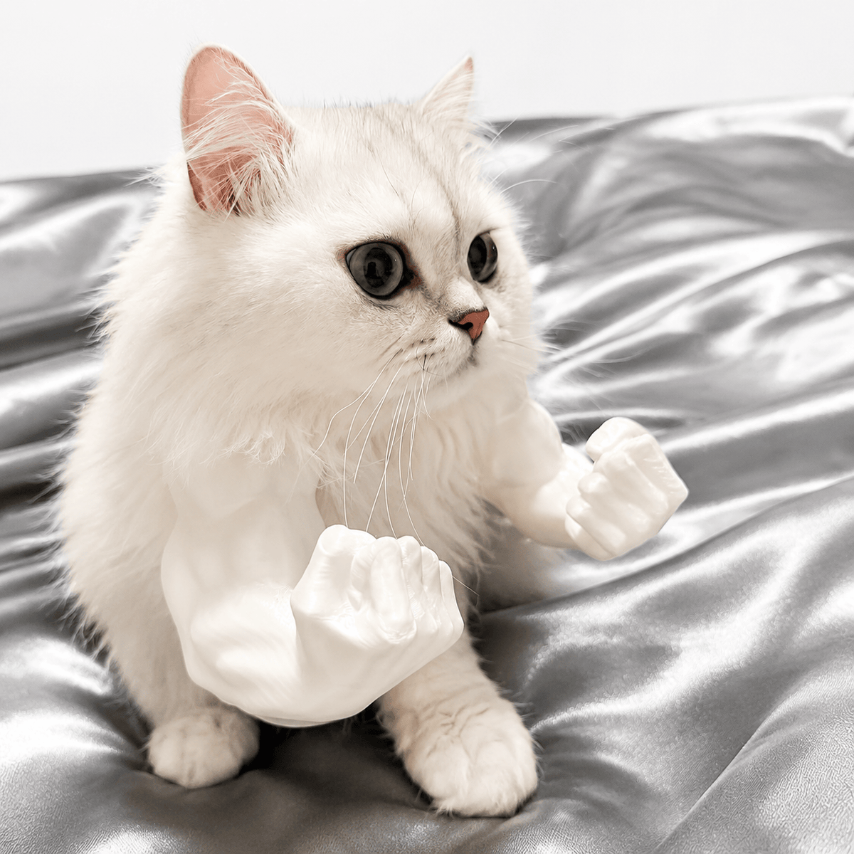 Long-haired white cat on a gray sheet wearing the white 3D printed muscle arms