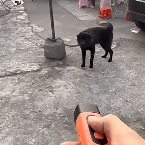 Noblias handheld ultrasonic dog trainer device used to stop barking, compact and portable for effective pet behavior management.