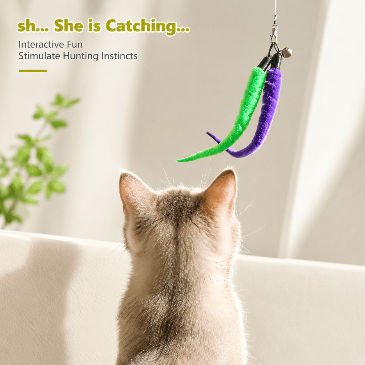 Noblias interactive cat wand toy set with 2 retractable wands and 9 feather toy refills for cats to chase and play.