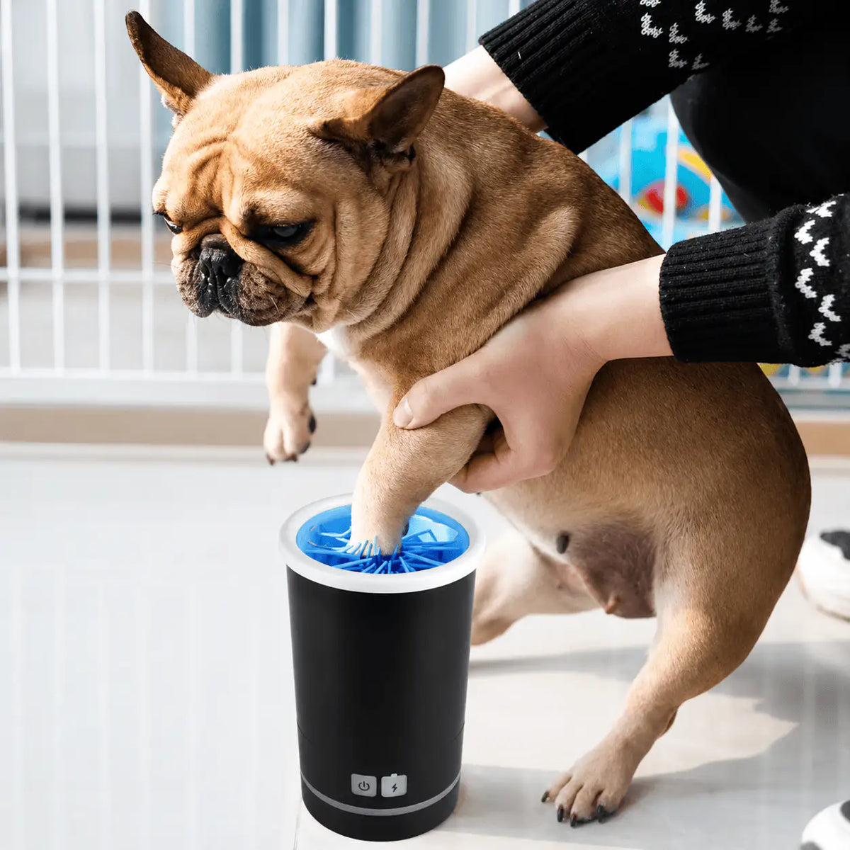 French bulldog with a front paw inside the black Noblias automatic paw cleaner cup while its owner holds the leg steady.