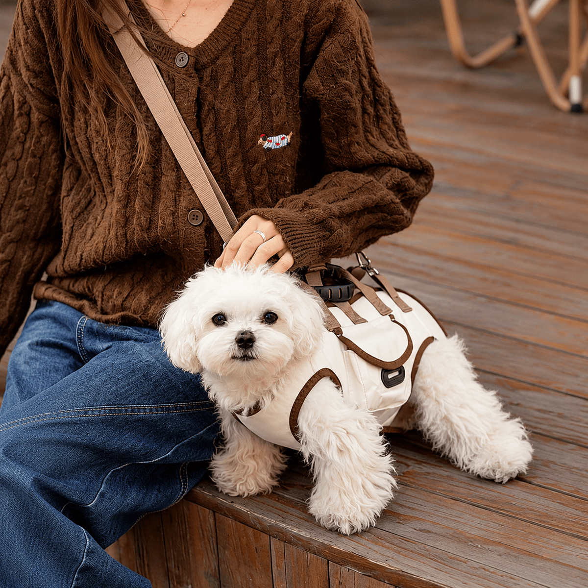 Bichon Frise sitting on its owner in the cream carrier harness with brown trim and shoulder strap