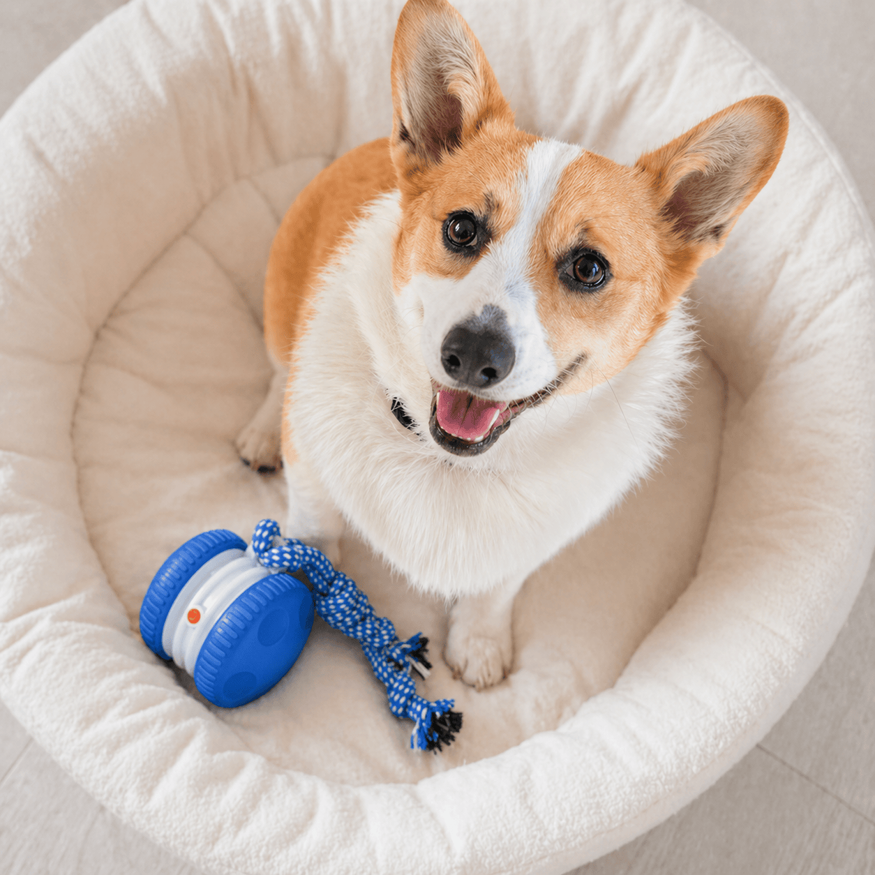 Noblias interactive dog toy ball with automatic movement, designed to keep dogs engaged and entertained during play sessions.