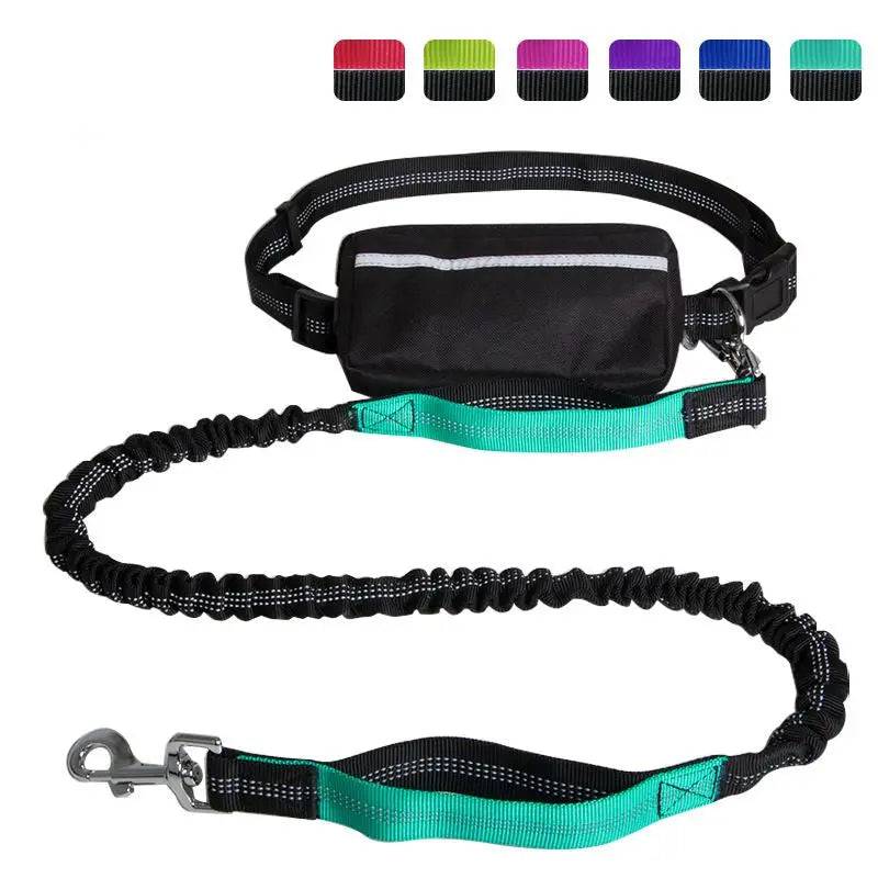 Peacock blue Noblias hands-free bungee dog leash with soft handles and storage pouch for secure walking and comfort.