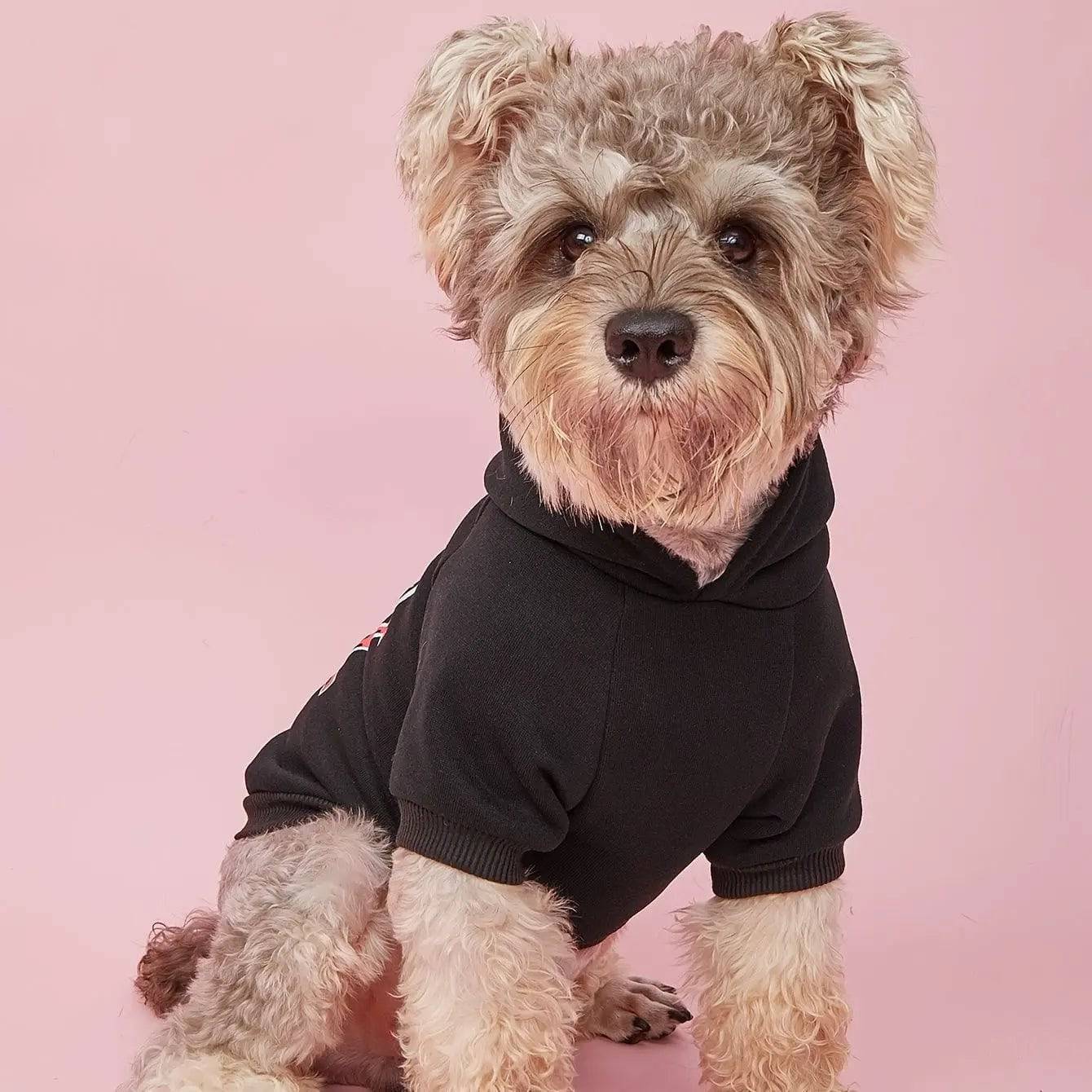 Black Noblias cute dog hoodie for small and medium dogs, warm pet apparel with cozy fabric and stylish design.
