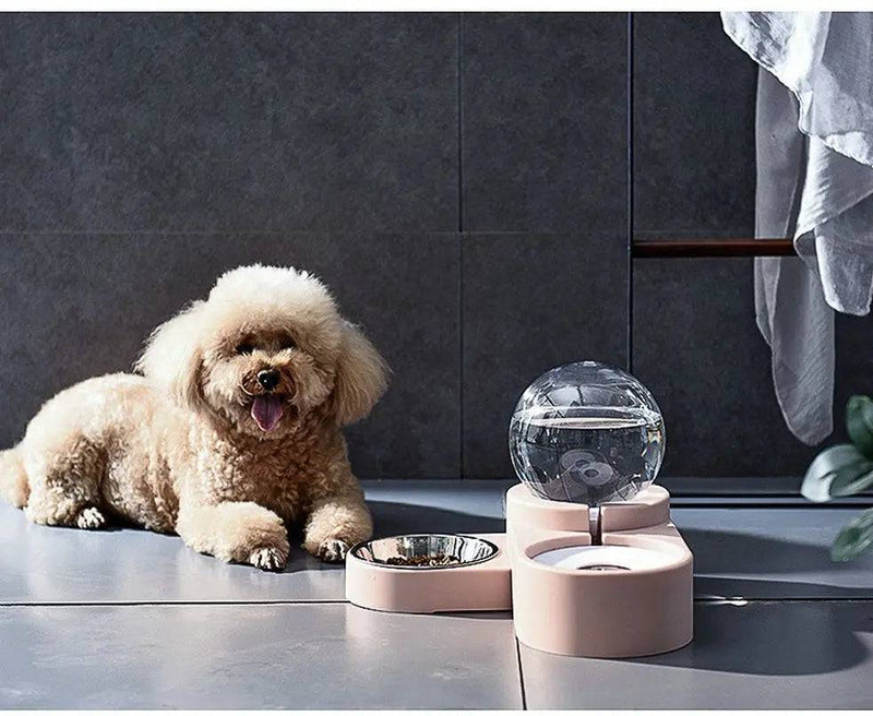 Apricot poodle resting beside a gravity water dispenser and food bowl at home
