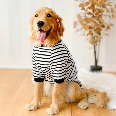 Small dog wearing a fleece hoodie from the Noblias dog apparel collection of hoodies, shirts, boots and costumes