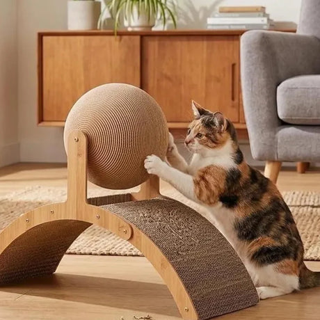Cat playing with a cardboard cat toy in a cozy living room.