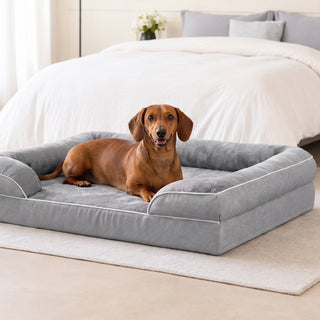 Red and tan Dachshund lying on a grey orthopedic dog sofa bed with bolster sides in a bright bedroom