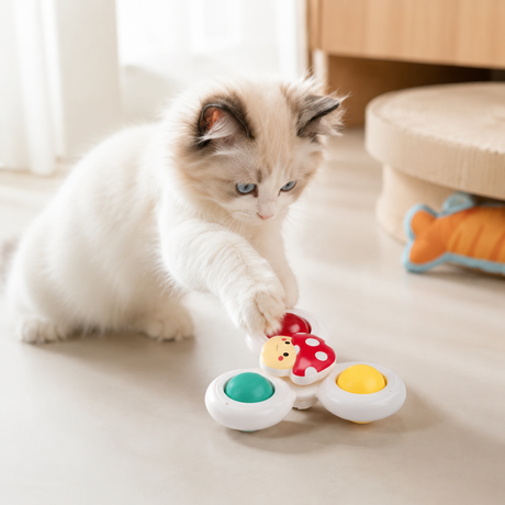 Noblias interactive suction cup cat window spinner toy with rotating insect design for feline enrichment and entertainment.