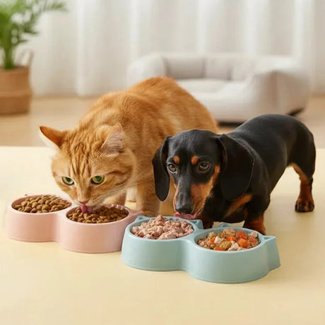 Anti-choke slow feeder dog bowl with a raised maze pattern, from the Noblias feeding and bowls collection