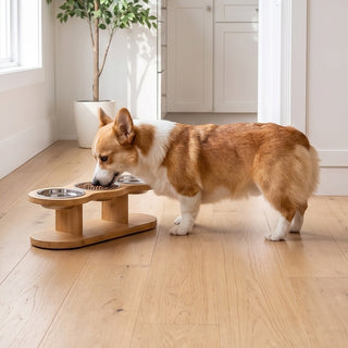 Pembroke Welsh Corgi eating from a natural bamboo elevated pet feeder with stainless steel bowls in a bright kitchen