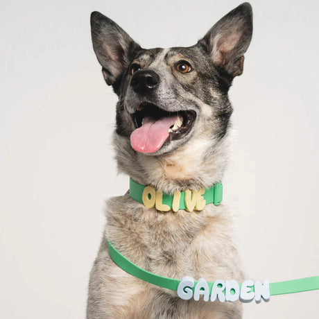 Green and yellow waterproof dog collar with custom name charms from Noblias, featuring durable material and adjustable fit.