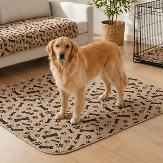 Golden Retriever standing on a washable bone-print pee pad in a bright living room