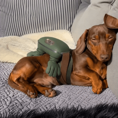 Calming Massager for Pets & People