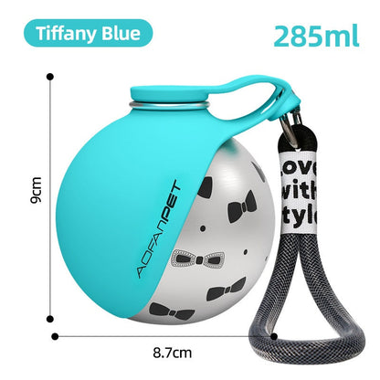 Portable Stainless Steel Dog Water Bottle with Bowl