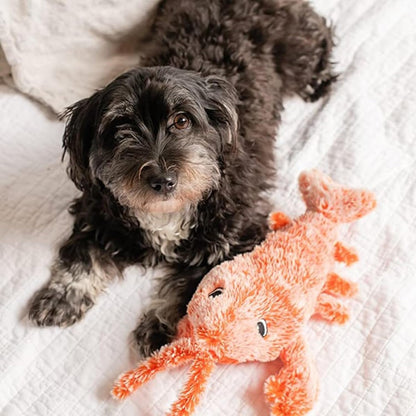 Interactive Lobster Pet Toy & Moving Wiggle Toy for Cats & Dogs