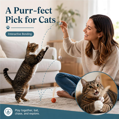 6-Pack Cat Feather Ball Toys for Indoor Cats - view 4
