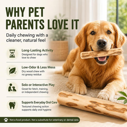 Coffee Wood Dog Chew Toy  Natural Long-Lasting Chewing Stick for Dogs