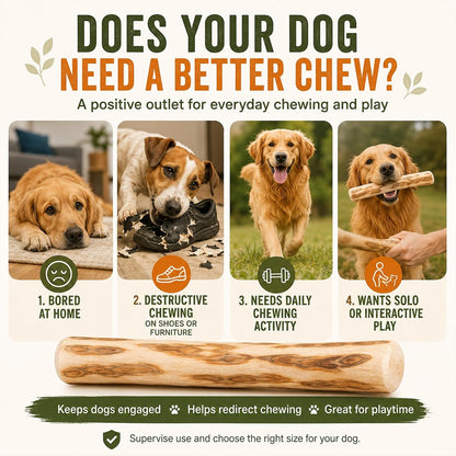 Coffee Wood Dog Chew Toy  Natural Long-Lasting Chewing Stick for Dogs