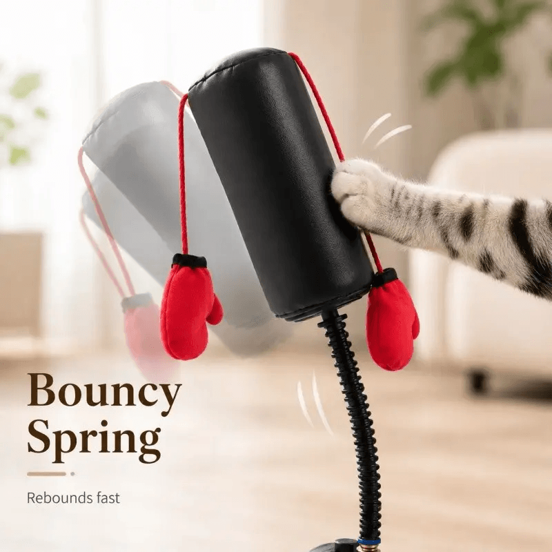Interactive Cat Boxing Toy with Suction Cup and Spring