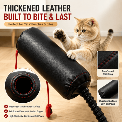 Interactive Cat Boxing Toy with Suction Cup and Spring