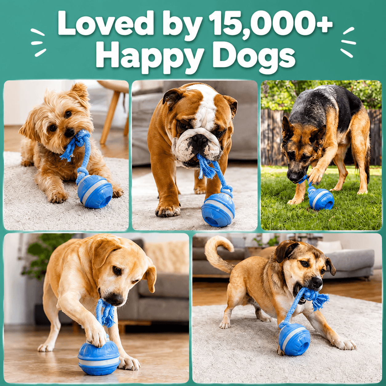 Smart Interactive Dog Ball Toy, Automatic Rolling Rope Toy