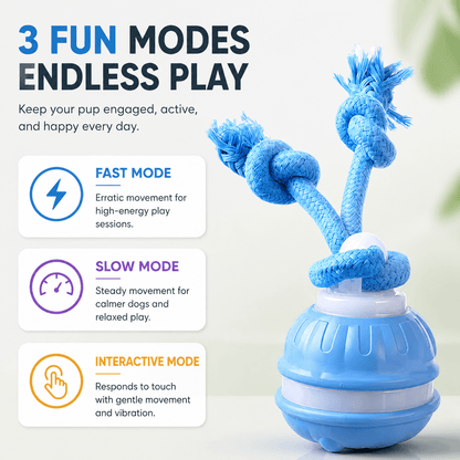 Smart Interactive Dog Ball Toy, Automatic Rolling Rope Toy