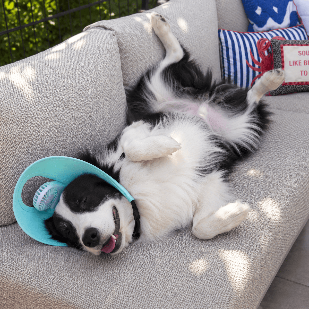 Pet Cooling Fan Hat