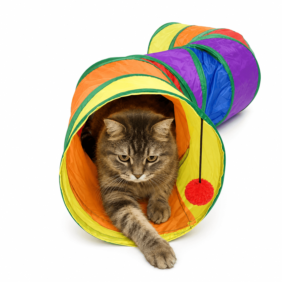 Foldable Cat Tunnel & Interactive Hide & Play Toy