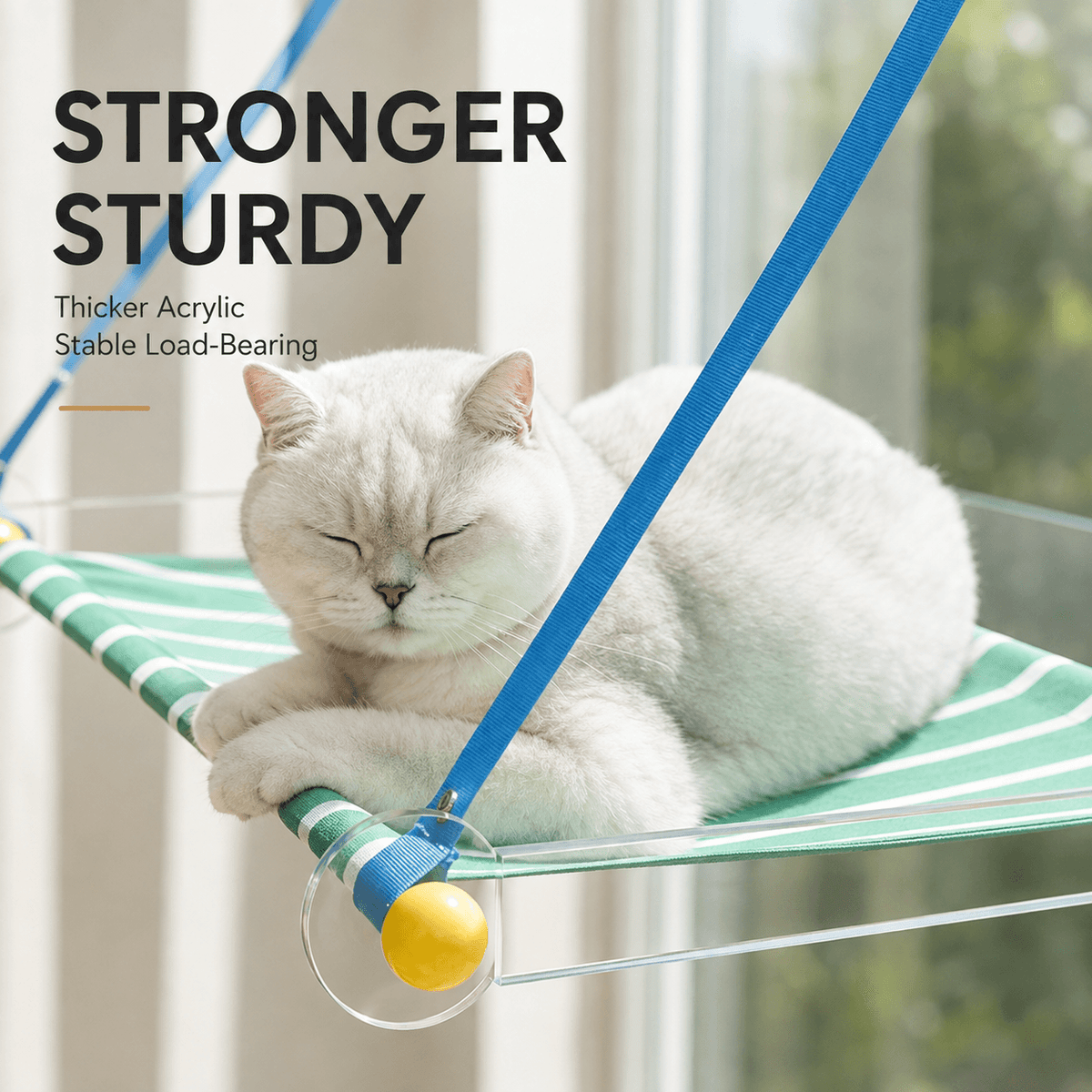 Foldable Window Cat Hammock & Suction Cup Cat Perch