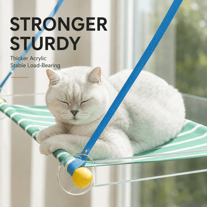 Foldable Window Cat Hammock & Suction Cup Cat Perch