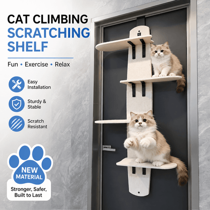Door-Mounted Cat Climber & Space-Saving Multi-Level Cat Tree