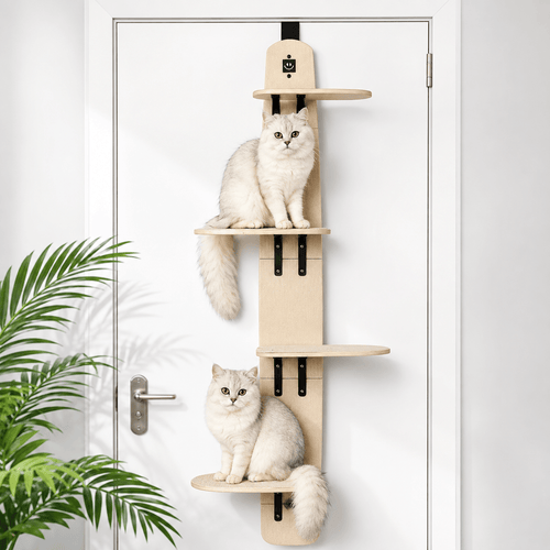 Door-Mounted Cat Climber & Space-Saving Multi-Level Cat Tree