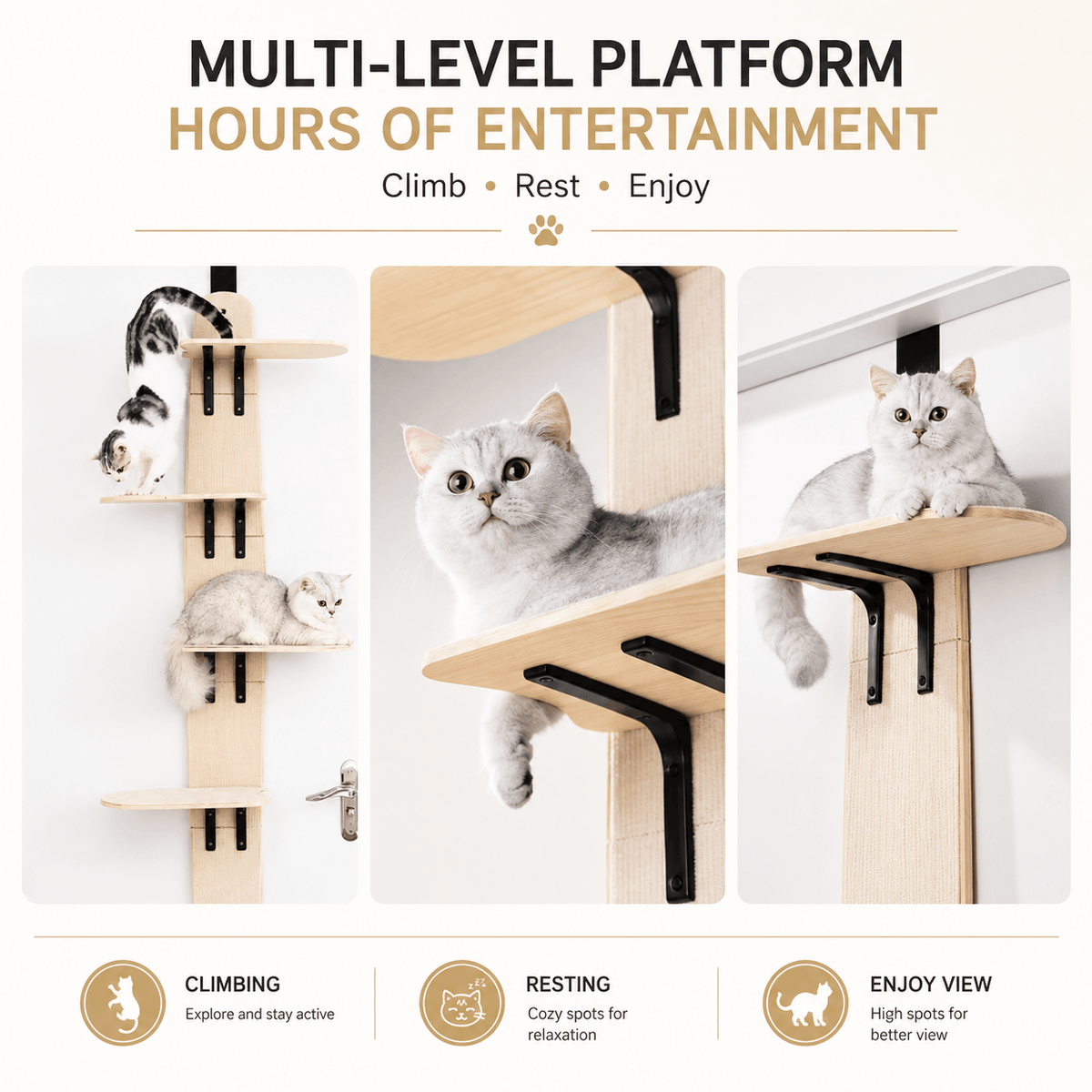 Door-Mounted Cat Climber & Space-Saving Multi-Level Cat Tree