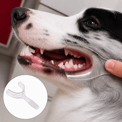 Dog Dental Mouth Opener 2 Pack - Teeth Cleaning Tool