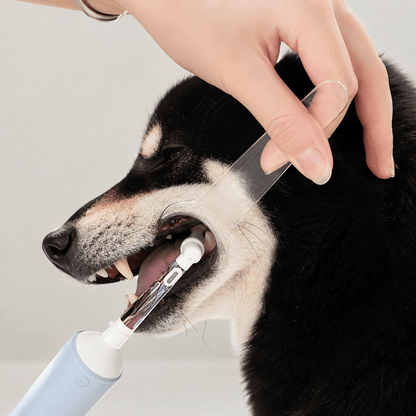 Dog Dental Mouth Opener 2 Pack - Teeth Cleaning Tool