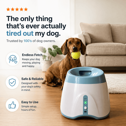 Automatic Dog Ball Launcher with 3 Tennis Balls & Interactive Fetch Toy for Dogs