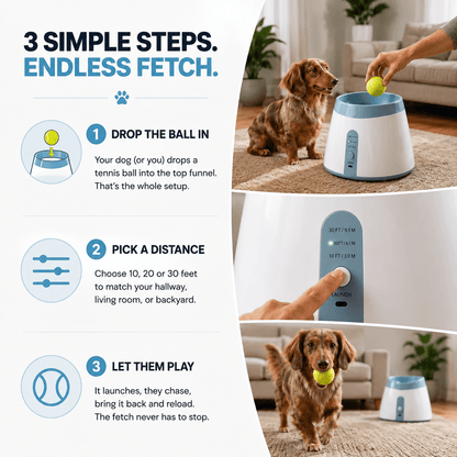 Automatic Dog Ball Launcher with 3 Tennis Balls & Interactive Fetch Toy for Dogs