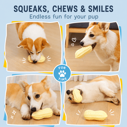 Squeaky Peanut Dog Chew Toy & Textured Dental Toy for Boredom & Interactive Play