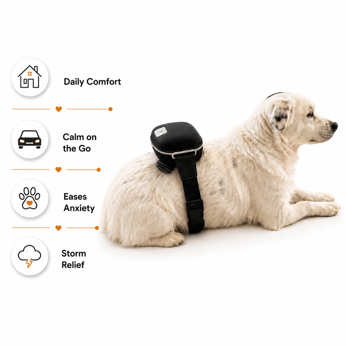 Calming Massager for Pets & People