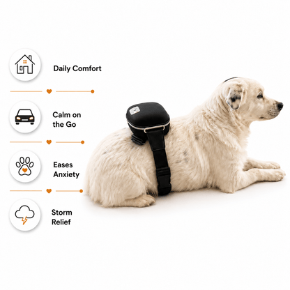 Calming Massager for Pets & People