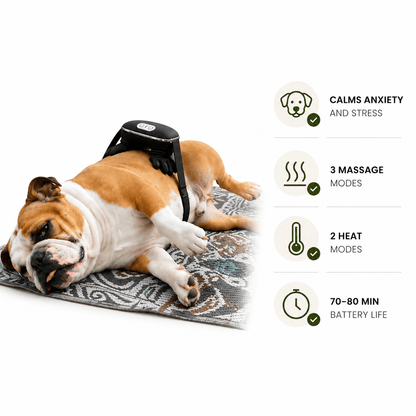 Calming Massager for Pets & People