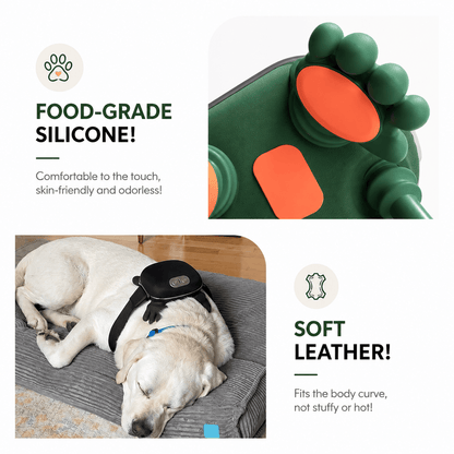 Calming Massager for Pets & People
