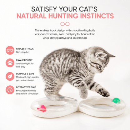 Infinity Figure-Eight Cat Track Toy with Rolling Balls - view 2